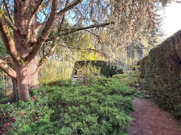A VENDRE Maison Angers Rue Chèvre