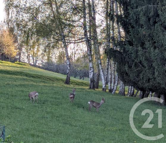 Maison à vendre  6 pièces - 185 m2 ARVILLARD - 73