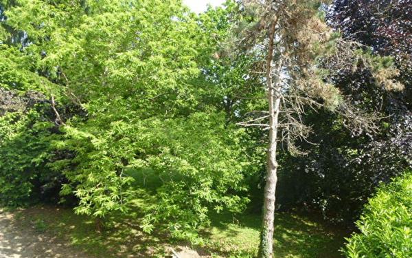 Appartement à louer    1 pièce •  Saint-Jean-le-Blanc