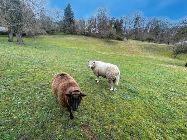46 mn AEROPORT CHARLES DE GAULLE
