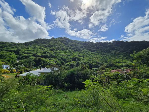 Terrain Case Pilote 1147 m2