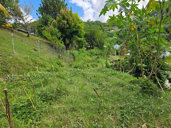 Terrain Case Pilote 1147 m2