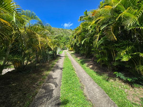 Terrain Case Pilote 1147 m2