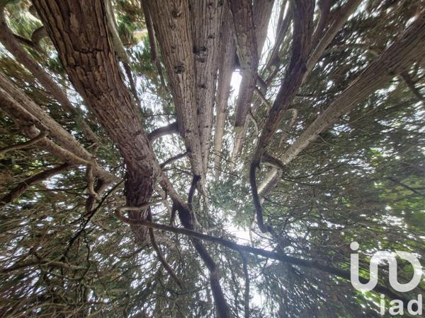 Maison à vendre 13 pièces 350 m² Aixe-sur-Vienne