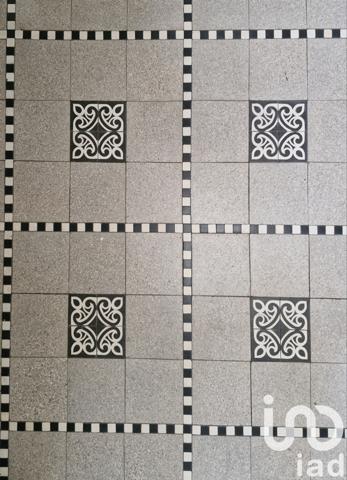 Maison à vendre 13 pièces 350 m² Aixe-sur-Vienne