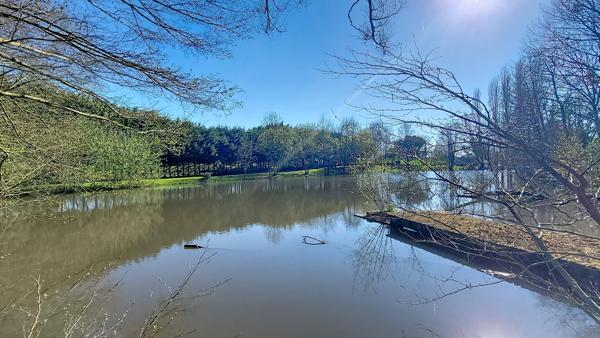 Terrain - 13084 m² Exclusivité efficity