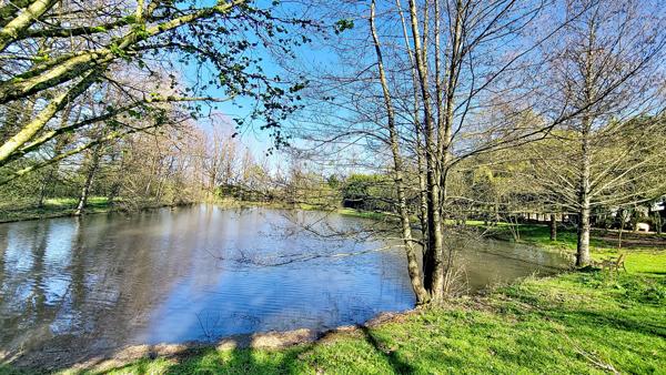 Terrain - 13084 m² Exclusivité efficity