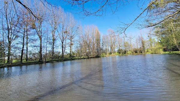 Terrain - 13084 m² Exclusivité efficity