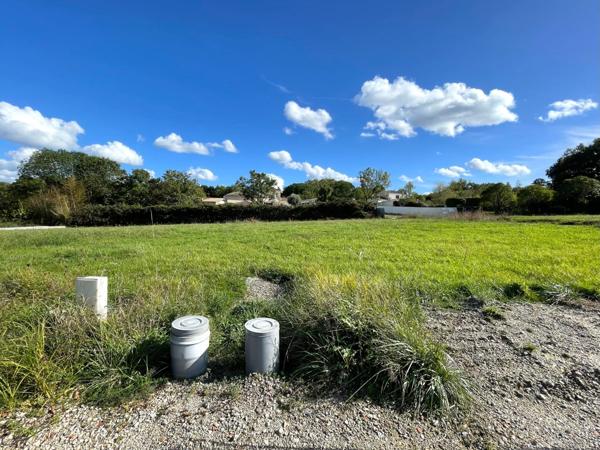 Magnifique lotissement entouré d' arbres