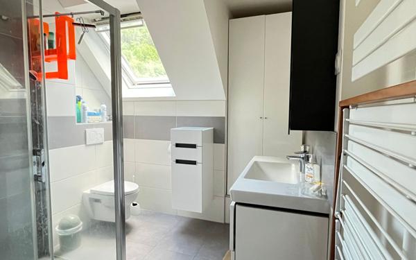 Maison à vendre    7 pièces •  Saint-Amarin