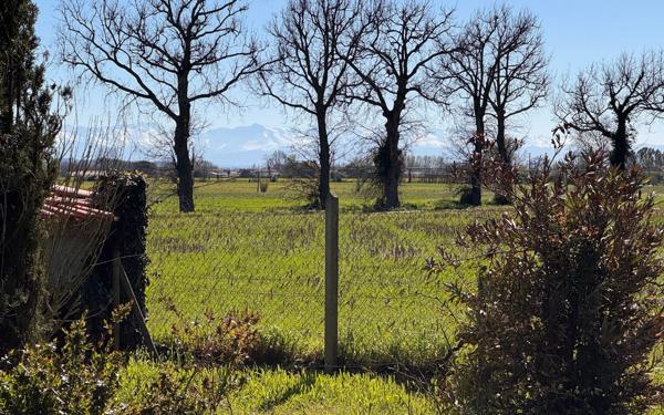 Maison à vendre    4 pièces •  Noé