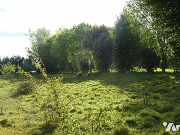 Vente Terrain â bâtir