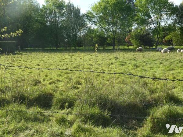 Vente Terrain â bâtir