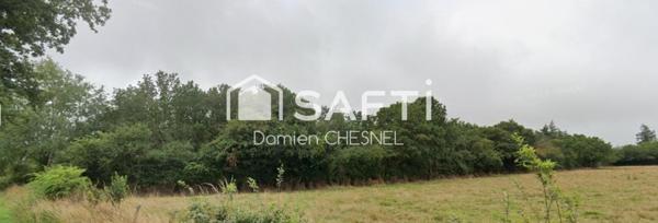 Terrain boisé de 6 585 m² à Lignières – idéal pour le bois de chauffage