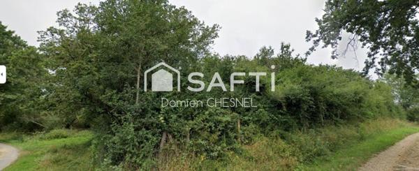 Terrain boisé de 6 585 m² à Lignières – idéal pour le bois de chauffage