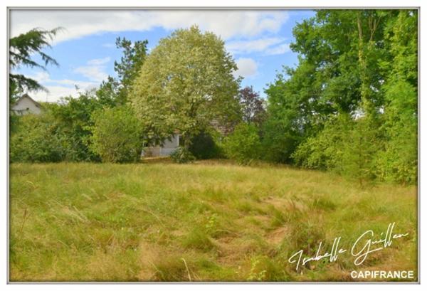 Propriété à vendre à Touchay : 2 maisons avec 4.5 hectares TOUCHAY (18)