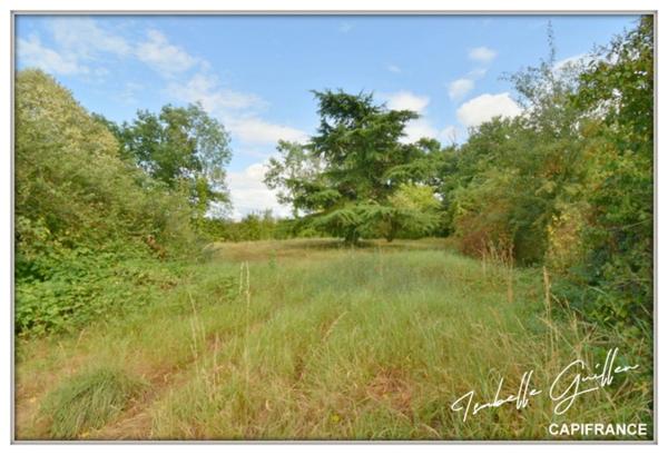 Propriété à vendre à Touchay : 2 maisons avec 4.5 hectares TOUCHAY (18)