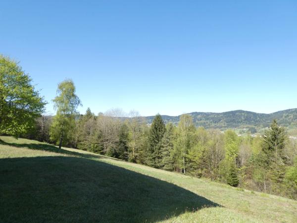 JULIENRUPT (88)à vendre , propriété T7 de 235m² , hangar extérieur , carport, terrain 8400m².