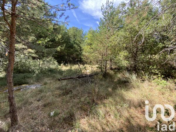 Terrain à vendre 18 480 m² Saint-Vallier-de-Thiey