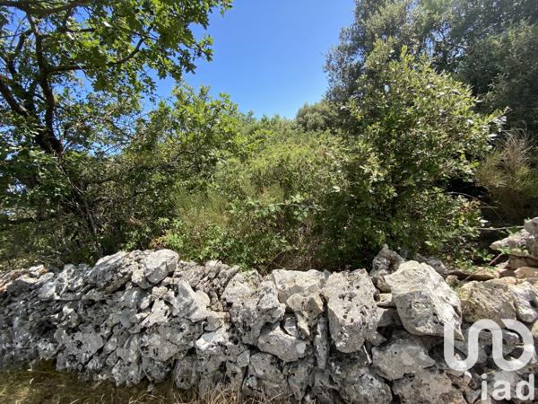 Terrain à vendre 18 480 m² Saint-Vallier-de-Thiey