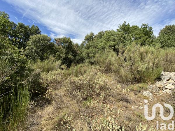 Terrain à vendre 18 480 m² Saint-Vallier-de-Thiey