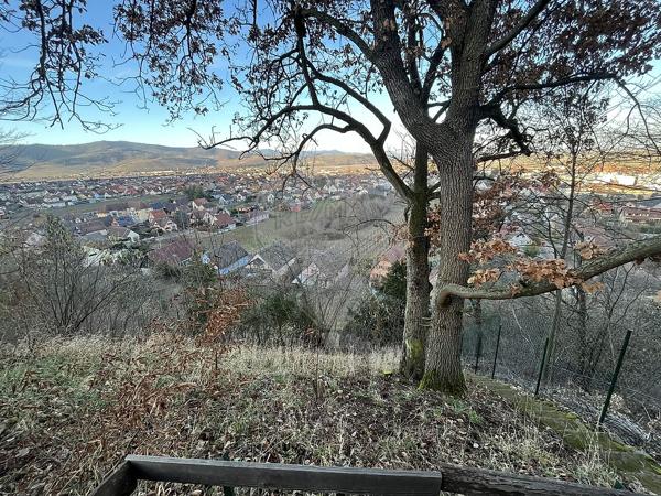 Terrain  en vente - Haut-Rhin - 68
