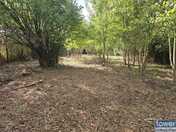 Maison de campagne -162 m2 - parcelle 2300 m2- à travaux