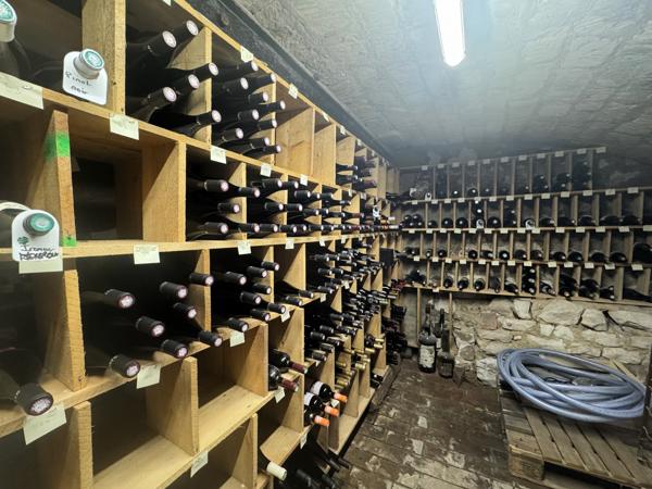 Local Commercial 10 pièces - 350 m²