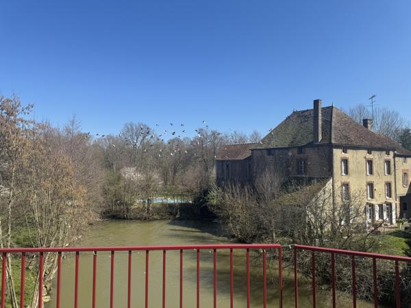 Local Commercial 10 pièces - 350 m²