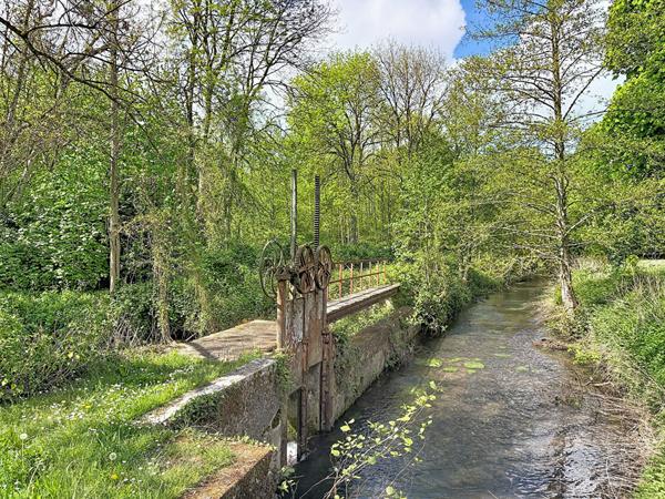 Propriété Saint Ouen Les Vignes 7 pièces 163 m2 sur plus de 2 hectares