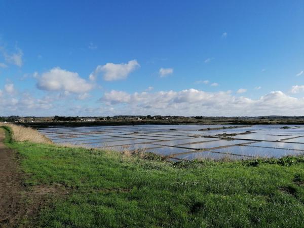 Entre la Baule et Guérande