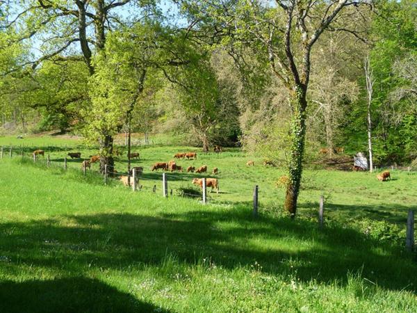 Maison dans un village de vacances à Gourdon