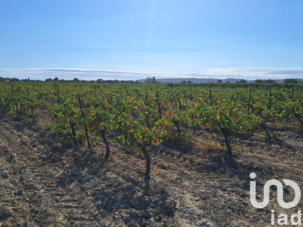 Terrain à vendre 29 000 m² Canet