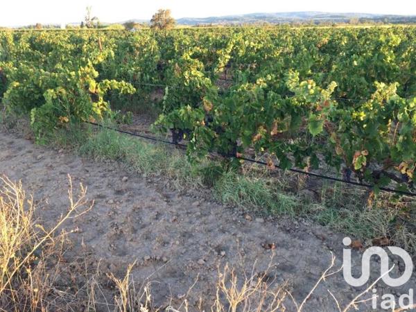 Terrain à vendre 29 000 m² Canet