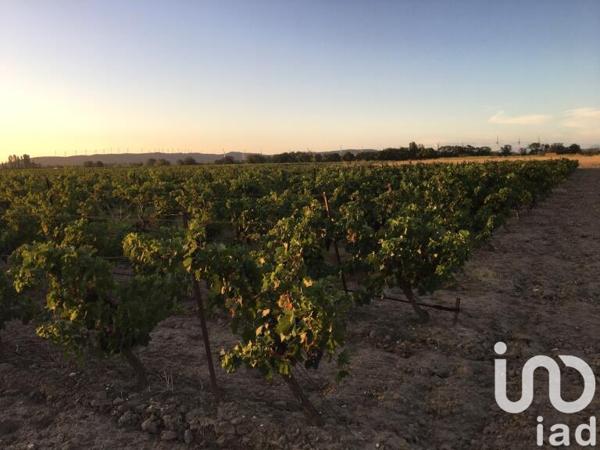 Terrain à vendre 29 000 m² Canet