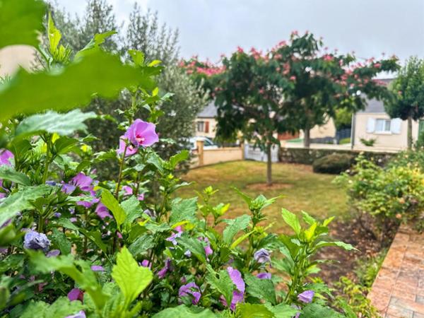 Maison Saint Denis D Anjou 6 pièce(s)