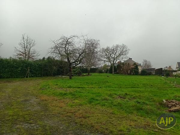 Vente terrain Molac : 101 500 € - AJP Immobilier Questembert