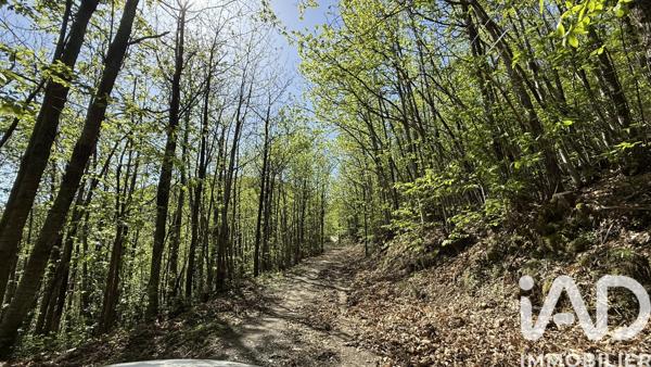 Terrain à vendre 133 789 m² Sumène