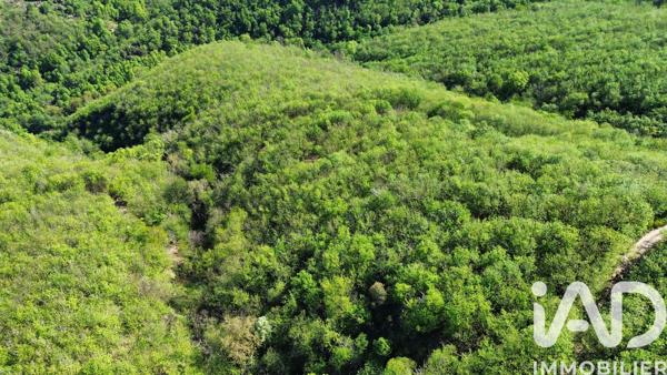 Terrain à vendre 133 789 m² Sumène