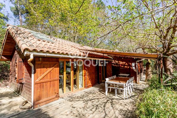 Rareté absolue au bord du lac sud de Biscarrosse