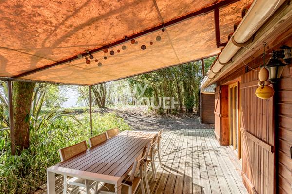 Rareté absolue au bord du lac sud de Biscarrosse