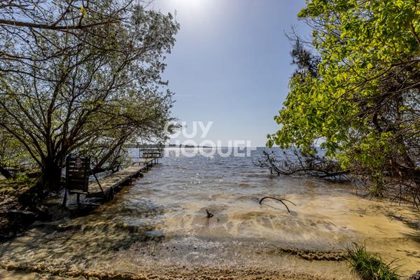 Rareté absolue au bord du lac sud de Biscarrosse