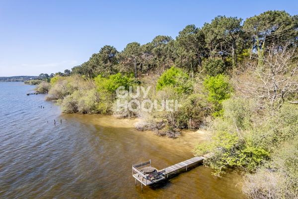 Rareté absolue au bord du lac sud de Biscarrosse