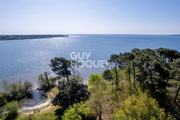 Rareté absolue au bord du lac sud de Biscarrosse