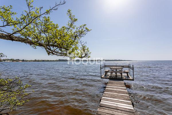 Rareté absolue au bord du lac sud de Biscarrosse