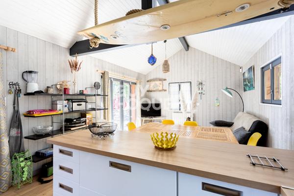 Rareté absolue au bord du lac sud de Biscarrosse