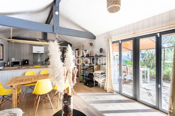 Rareté absolue au bord du lac sud de Biscarrosse