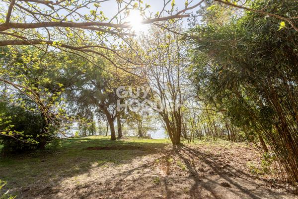 Rareté absolue au bord du lac sud de Biscarrosse