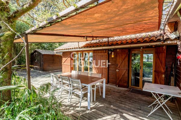 Rareté absolue au bord du lac sud de Biscarrosse