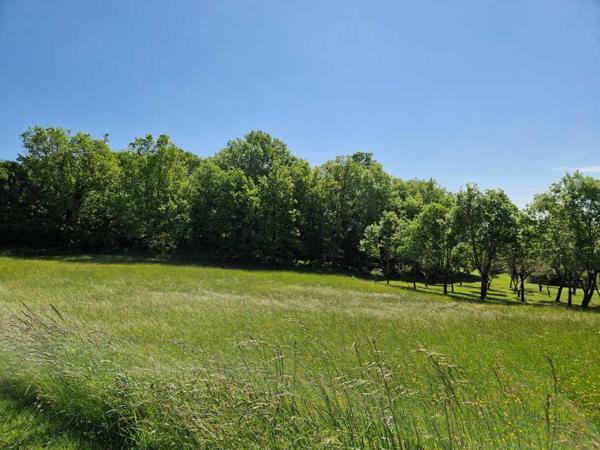 Terrain constructible - Saint-cyprien Coux-et-Bigaroque Terrain Constructible de 3113 m2